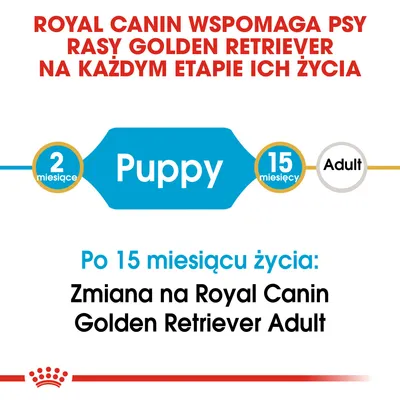 Royal Canin wspomaga psy rasy Golden Retriever na każdym etapie życia. Po 15 miesiącu życia: zmiana na Royal Canin Golden Retriever Adult. Puppy od 2 do 15 miesięcy.