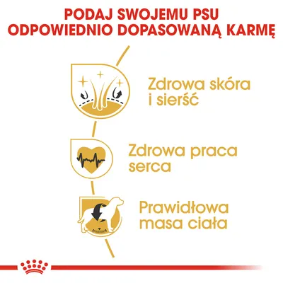 Podaj swojemu psu odpowiednio dopasowaną karmę. Zdrowa skóra i sierść, zdrowa praca serca, prawidłowa masa ciała.