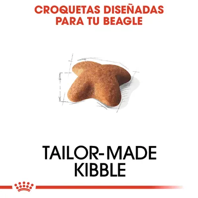 Texto: Croquetas diseñadas para tu Beagle. Imagen de una croqueta marrón en forma de estrella. Texto en inglés: Tailor-made kibble.