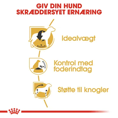 Giv din hund skræddersyet ernæring. Idealvægt. Kontrol med foderindtag. Støtte til knogler.