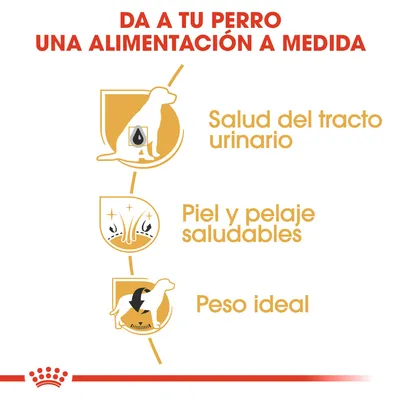 Da a tu perro una alimentación a medida. Salud del tracto urinario, piel y pelaje saludables, peso ideal.