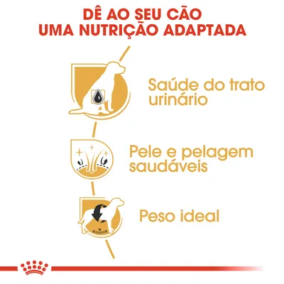 Dê ao seu cão uma nutrição adaptada: saúde do trato urinário, pele e pelagem saudáveis, peso ideal. Texto em português com ícones ilustrativos de cão.