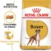 Royal Canin Boxer Adult Crocchette per cane