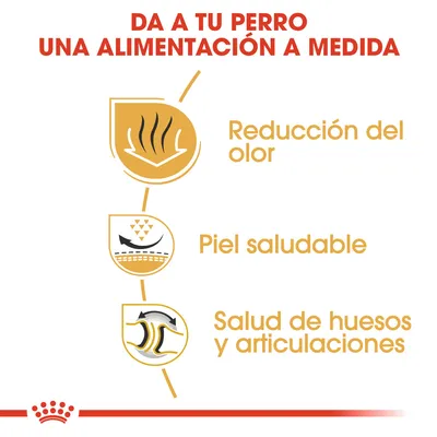 Da a tu perro una alimentación a medida. Reducción del olor, piel saludable, salud de huesos y articulaciones.