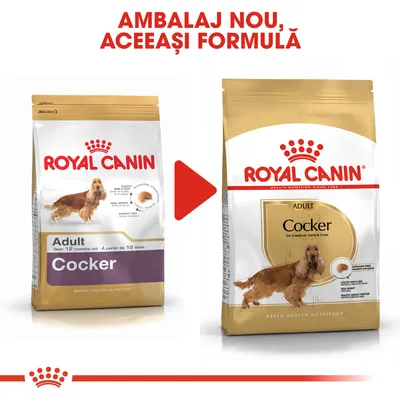 Ambalaj vechi și nou pentru Royal Canin Adult Cocker, cu textul „AMBALAJ NOU, ACEEAȘI FORMULĂ” deasupra. Ambele pungi prezintă un câine Cocker și informații despre produs.