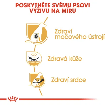 Poskytněte svému psovi výživu na míru: zdraví močového ústrojí, zdravá kůže, zdraví srdce. Tři ikony se siluetou psa a grafickými symboly.