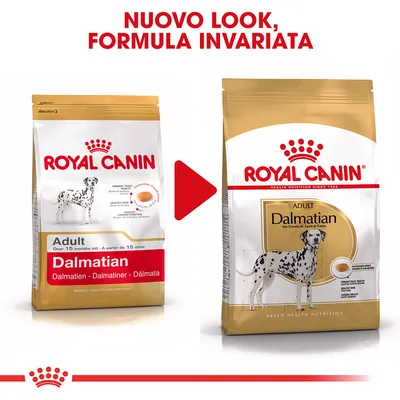 Royal Canin Dalmatian Adult Crocchette per cane Royal Canin Dalmatian Adult Crocchette per cane