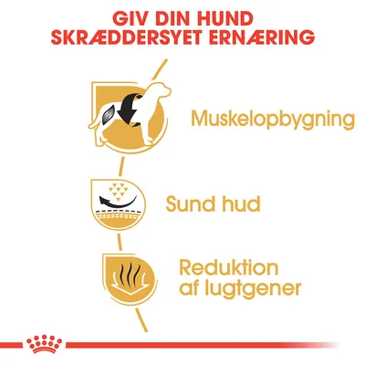 GIV DIN HUND SKRÆDDERSYET ERNÆRING. Muskelopbygning, sund hud, reduktion af lugtgener. Tre ikoner med hund, hud og luftstrømme.