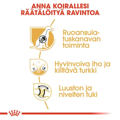Anna koirallesi räätälöityä ravintoa: ruoansulatuskanavan toiminta, hyvinvoiva iho ja kiiltävä turkki, luuston ja nivelten tuki.