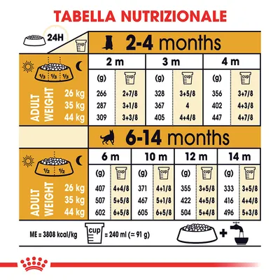 Tabella nutrizionale per cani: dosi giornaliere in grammi e cup per peso adulto 26, 35, 44 kg da 2 a 14 mesi. Cup=240 ml (≈91 g). ME=3808 kcal/kg.