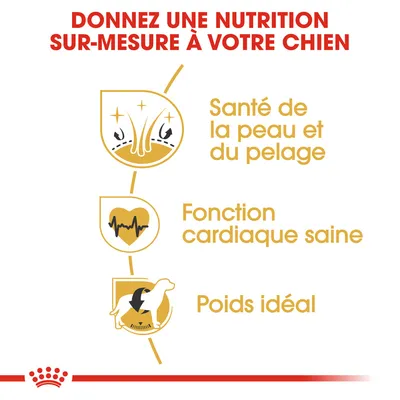 Donnez une nutrition sur-mesure à votre chien : santé de la peau et du pelage, fonction cardiaque saine, poids idéal.