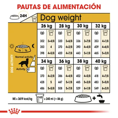 Tabla de pautas de alimentación para perros de 26 a 40 kg según actividad, muestra gramos y tazas por peso. Incluye equivalencia: 1 taza = 240 ml (≈86 g) y energía: 3619 kcal/kg.