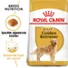 Royal Canin Golden Retriever Adult - Hondenvoer