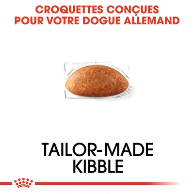 Texte : Croquettes conçues pour votre dogue allemand. Image d’une croquette. Texte en anglais : Tailor-made kibble.