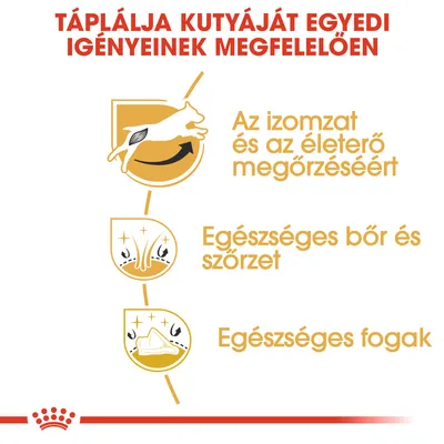 Táplálja kutyáját egyedi igényeinek megfelelően: az izomzat és az életerő megőrzéséért, egészséges bőr és szőrzet, egészséges fogak