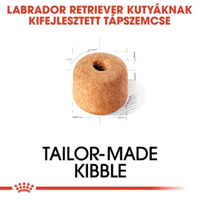Labrador Retriever kutyáknak kifejlesztett tápszemcse. Tailor-made kibble felirat, egy darab speciális formájú tápszem látható.