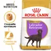 Royal Canin Labrador Retriever Adult Sterilised pour chien
