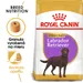 Royal Canin Labrador Retriever Adult Sterilised
