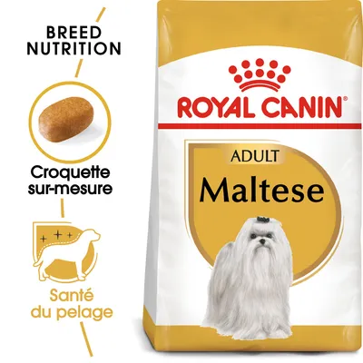 Royal Canin Bichon Maltais Adult pour chien