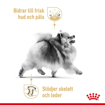 Bidrar till frisk hud och päls. Stödjer skelett och leder. Bild på en långhårig hund. Royal Canin-varumärke synligt längst ner till höger.