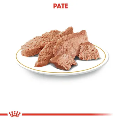 Pate pe farfurie, text vizibil deasupra: PATE. Imagine generică pentru prezentarea consistenței produsului alimentar.