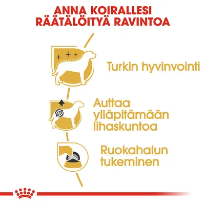 Anna koirallesi räätälöityä ravintoa: turkin hyvinvointi, auttaa ylläpitämään lihaskuntoa, ruokahalun tukeminen. Teksti ja symbolit näkyvät kuvassa.