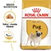 Royal Canin Pug Adult