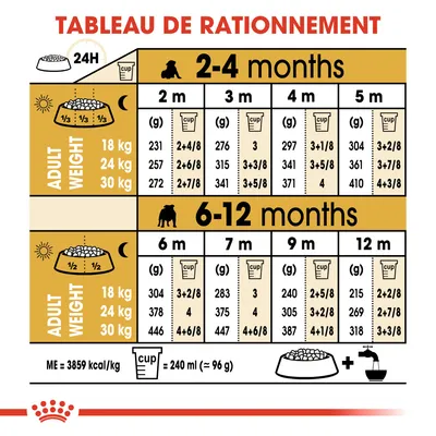 Tableau de rationnement pour chiots, poids adulte 18–30 kg, quantités en grammes et tasses par âge de 2 à 12 mois. 1 tasse = 240 ml (≈96 g). ME = 3859 kcal/kg.
