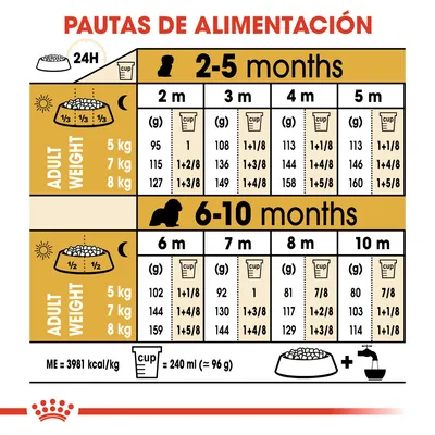 Tabla de pautas de alimentación para cachorros según peso adulto (5, 7, 8 kg) y edad (2–10 meses), con cantidades diarias en gramos y tazas. Incluye equivalencia: 1 taza = 240 ml ≈ 96 g.