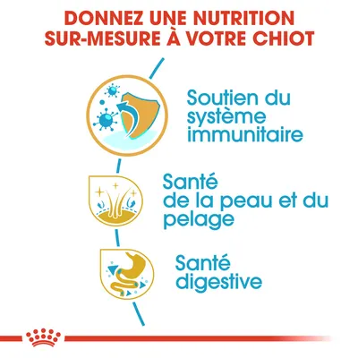 Donnez une nutrition sur-mesure à votre chiot : soutien du système immunitaire, santé de la peau et du pelage, santé digestive.