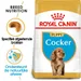 Royal Canin Cocker Spaniel Puppy - Hondenvoer