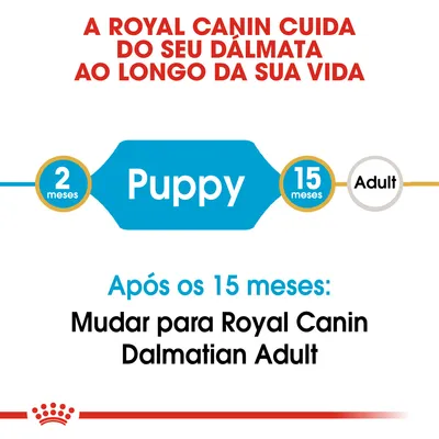 A Royal Canin cuida do seu dálmata ao longo da vida. Puppy dos 2 aos 15 meses. Após os 15 meses: mudar para Royal Canin Dalmatian Adult.