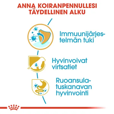 Anna koiranpennullesi täydellinen alku. Immuunijärjestelmän tuki, hyvinvoivat virtsatiet, ruoansulatuskanavan hyvinvointi.