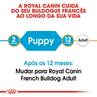 A Royal Canin cuida do seu buldogue francês ao longo da sua vida. Puppy dos 2 aos 12 meses. Após os 12 meses: mudar para Royal Canin French Bulldog Adult.