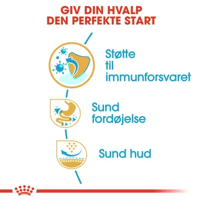 GIV DIN HVALP DEN PERFEKTE START. Støtte til immunforsvaret, sund fordøjelse, sund hud.