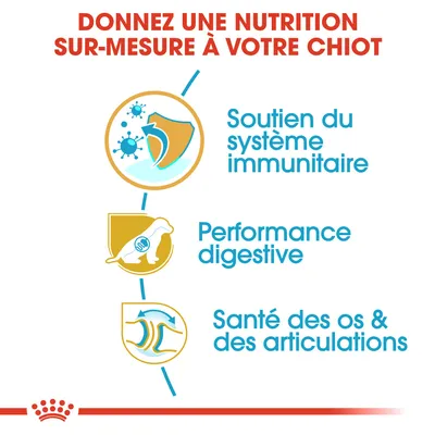 Donnez une nutrition sur-mesure à votre chiot : soutien du système immunitaire, performance digestive, santé des os et des articulations.