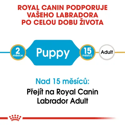 Royal Canin podporuje vašeho labradora po celou dobu života. Puppy 2 měsíce–15 měsíců, poté přejít na Royal Canin Labrador Adult.