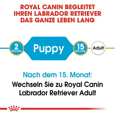 Royal Canin begleitet Labrador Retriever von Puppy (2 Monate) bis Adult (15 Monate). Nach dem 15. Monat: Wechsel zu Royal Canin Labrador Retriever Adult.