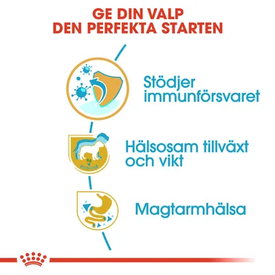 Ge din valp den perfekta starten. Stödjer immunförsvaret, hälsosam tillväxt och vikt, magtarmhälsa.