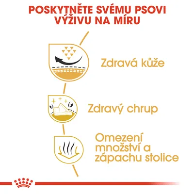 Poskytněte svému psovi výživu na míru: zdravá kůže, zdravý chrup, omezení množství a zápachu stolice.