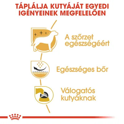 Táplálja kutyáját egyedi igényeinek megfelelően: a szőrzet egészségéért, egészséges bőr, válogatós kutyáknak.