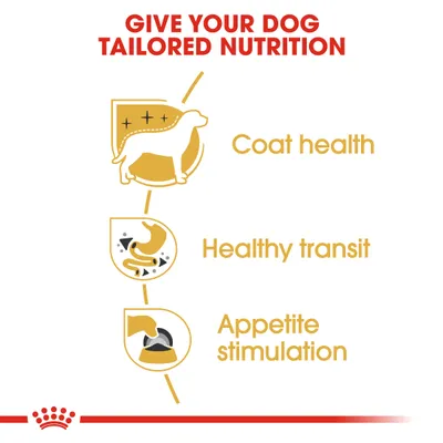 Teksti englanniksi: Give your dog tailored nutrition. Coat health, Healthy transit, Appetite stimulation. Kuvakkeet koiran turkista, ruoansulatuksesta ja ruokakupista.