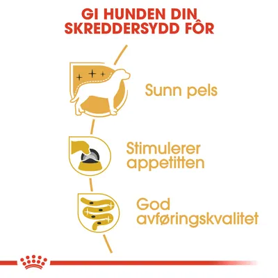 Tekst på norsk: GI HUNDEN DIN SKREDDERSYDD FÔR. Sunn pels. Stimulerer appetitten. God avføringskvalitet. Tre ikoner illustrerer hvert punkt.