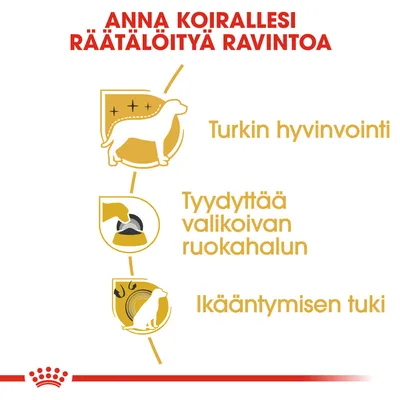 Anna koirallesi räätälöityä ravintoa: turkin hyvinvointi, tyydyttää valikoivan ruokahalun, ikääntymisen tuki. Royal Canin -brändi alareunassa.