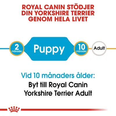 Royal Canin stödjer din Yorkshire Terrier genom hela livet. Puppy 2 månader till 10 månader, Adult därefter. Vid 10 månaders ålder: Byt till Royal Canin Yorkshire Terrier Adult.