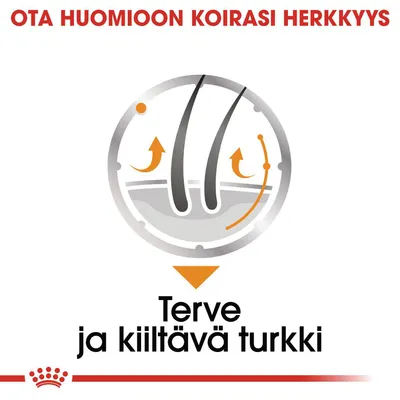 Ota huomioon koirasi herkkyys. Terve ja kiiltävä turkki.