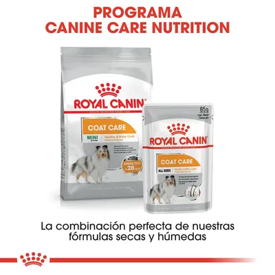 ROYAL CANIN COAT CARE MINI y ALL SIZES, comida para perros. Programa Canine Care Nutrition. Combinación de fórmulas secas y húmedas. Shiner coat en 28 days. 85 g.