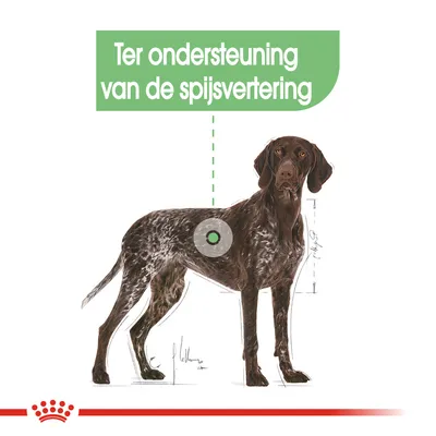 Illustratie van een hond met tekst: 'Ter ondersteuning van de spijsvertering'.