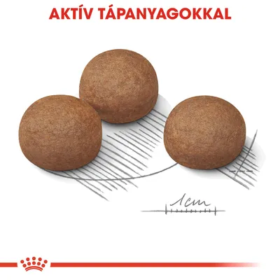 Három kerek száraztáp szem, alatta 1 cm-es méretjelzés. Felül: AKTÍV TÁPANYAGOKKAL felirat. Royal Canin márkajel az alsó részen.