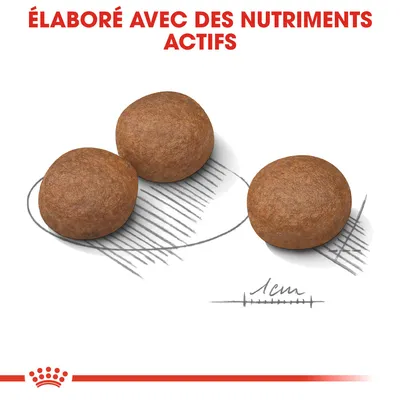 Trois croquettes rondes avec texte « Élaboré avec des nutriments actifs » et une règle indiquant 1 cm pour l’échelle de taille.